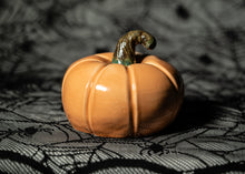 Load image into Gallery viewer, Pumpkin